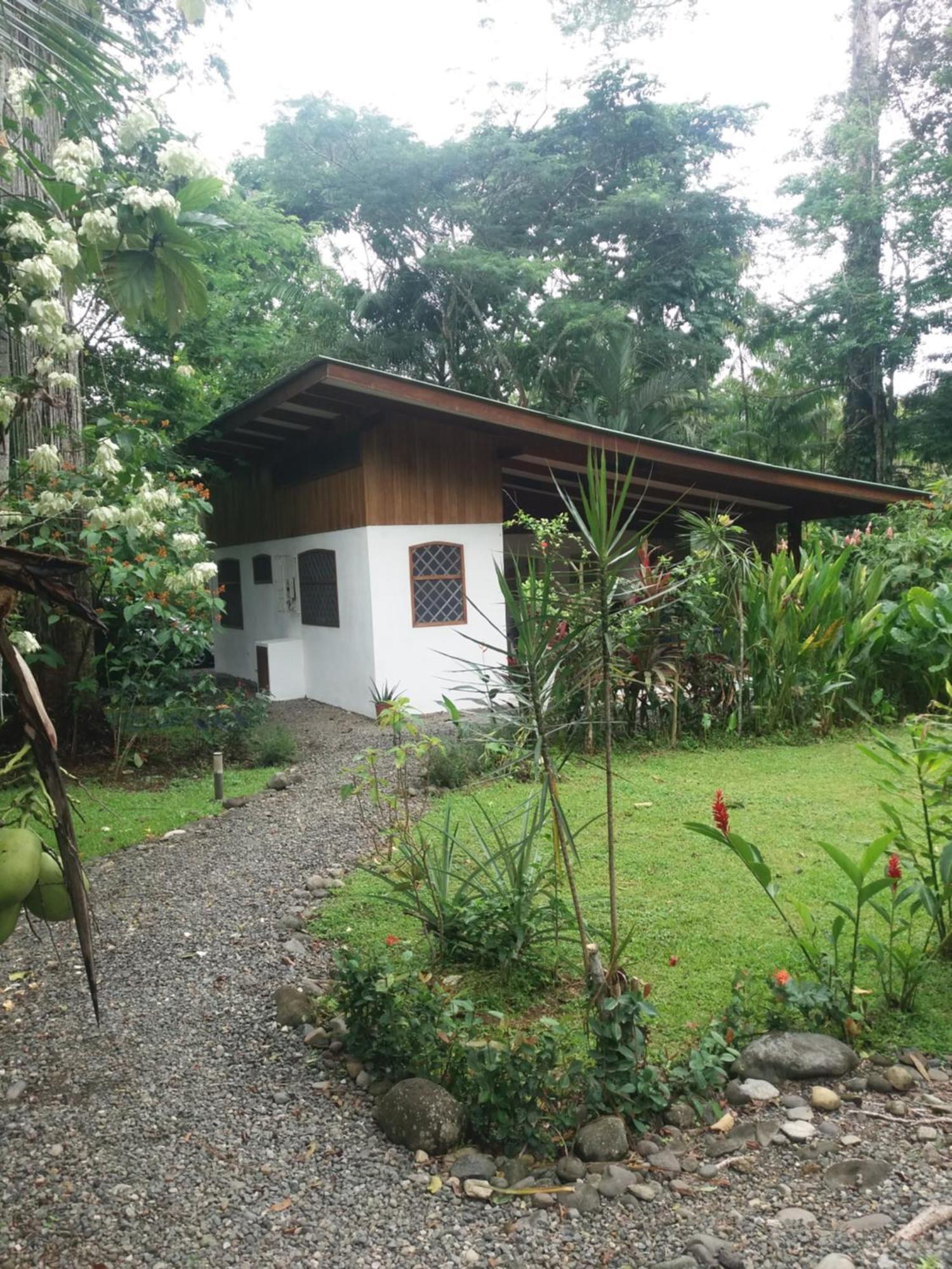 Los Delfines Lodge Puerto Viejo de Talamanca Esterno foto
